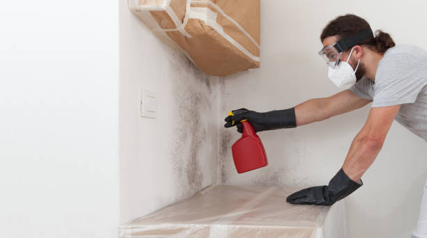 Professional Mold Remediation technician working in Clarksville, VA