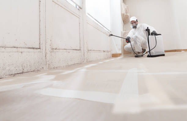 24/7 Emergency Mold Remediation experts in Clarksville, VA