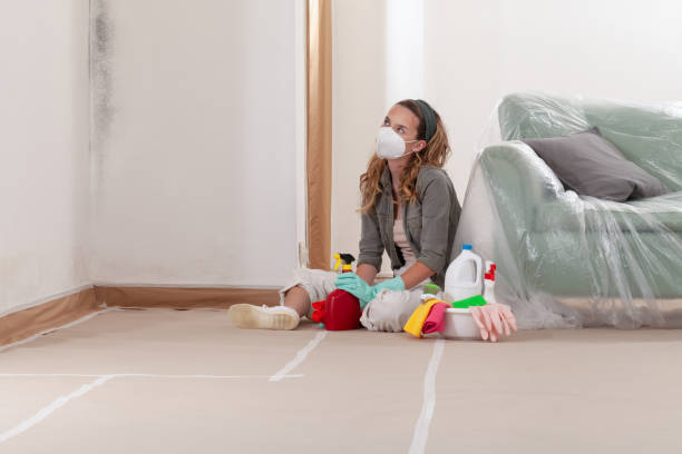 Reliable Mold Remediation contractor in Clarksville, VA by 24 Hour Mold Removal