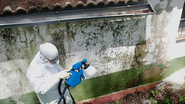 Top rated local Mold Remediation specialists in Clarksville, VA